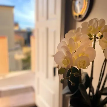 Cityloft Appartement