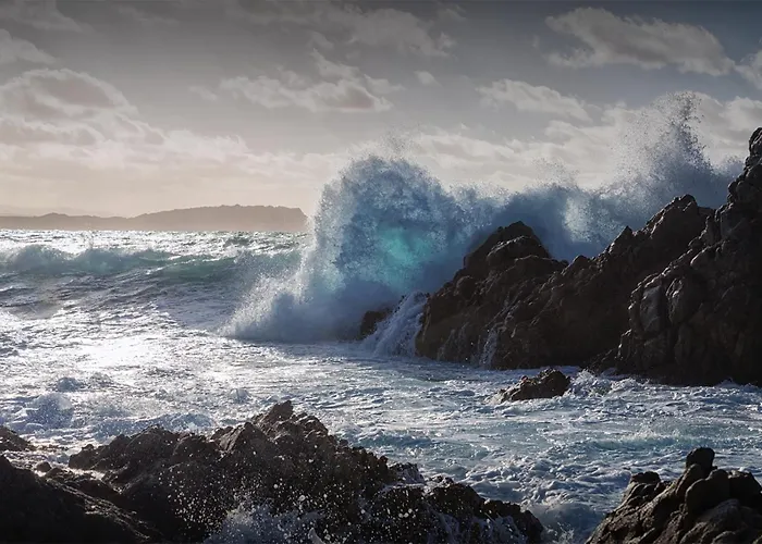 Cityloft * Ольбія