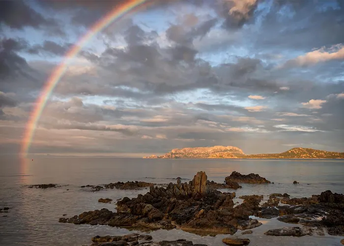 Апартаменти Cityloft *