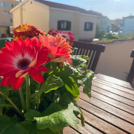 Cityloft Lejlighed Olbia