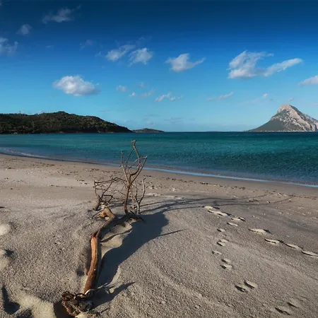 Apartamento Cityloft