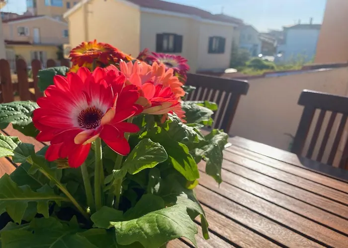 Cityloft Apartment Olbia