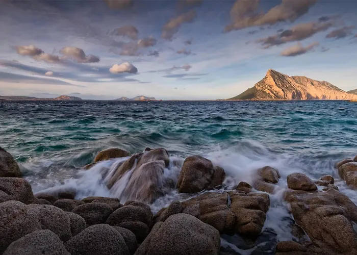 Cityloft Apartment Olbia